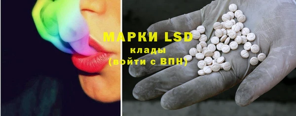 ГАЛЛЮЦИНОГЕННЫЕ ГРИБЫ Заводоуковск