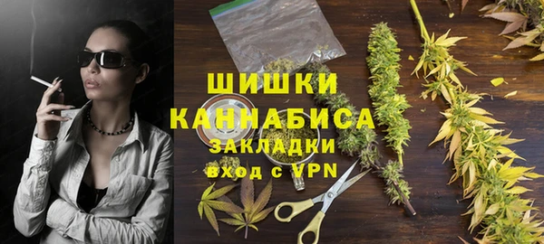 ГАЛЛЮЦИНОГЕННЫЕ ГРИБЫ Заводоуковск