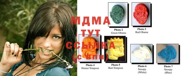 ГАЛЛЮЦИНОГЕННЫЕ ГРИБЫ Заводоуковск