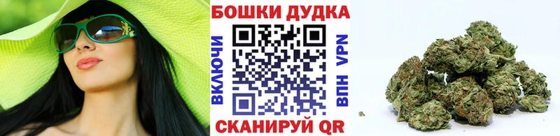Купить закладки  Дорогобуж  Бошки марихуана THC 21% 